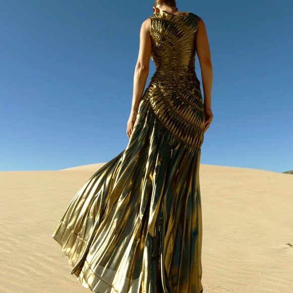 Georgia Hardinge Fossil Metallic Pleated Maxi Dress NWT Size 2 - Picture 2 of 7